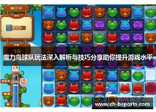 魔力鸟球队玩法深入解析与技巧分享助你提升游戏水平
